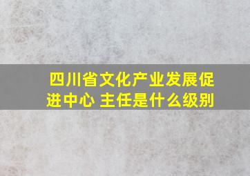 四川省文化产业发展促进中心 主任是什么级别